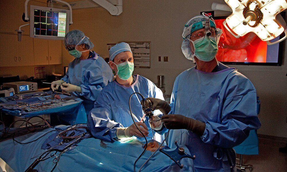 andrew little performing pituitary surgery