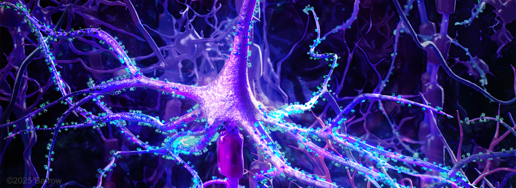 Kelly Laboratory - Sonntag Spine Center | Barrow Neurological