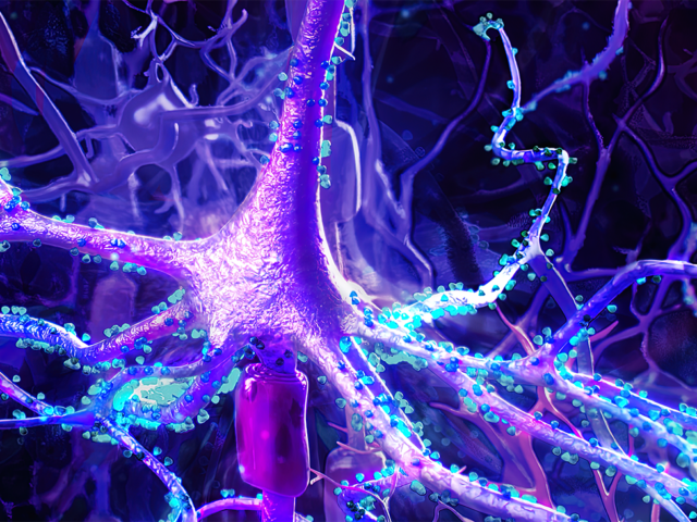 illustration of neurons and chemicals in the nervous system