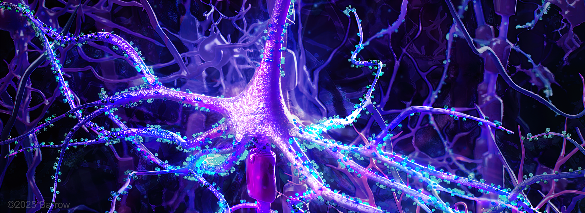 Kelly Laboratory - Barrow Neurological Institute