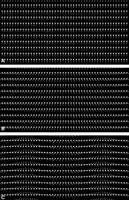 Figure 8. Illustration of excited spins