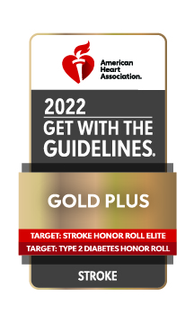 2022 get with the guidelines gold plus stroke award