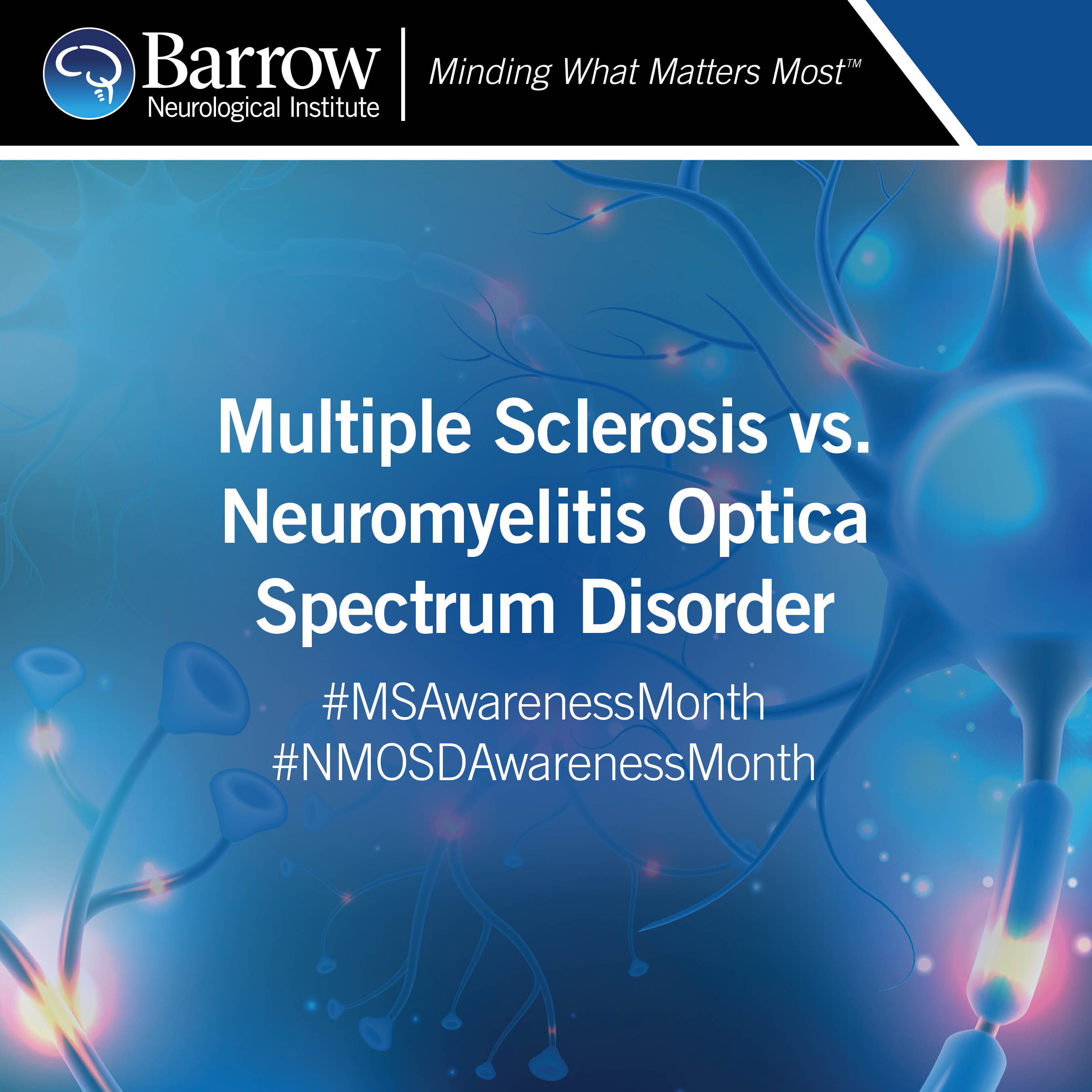 Illustration of neurons, with the text: Multiple Sclerosis vs Neuromyelitis Optica Spectrum Disorder