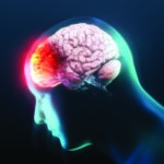 Brain illustration