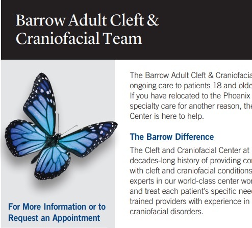 click to open the adult cleft and craniofacial team flyer