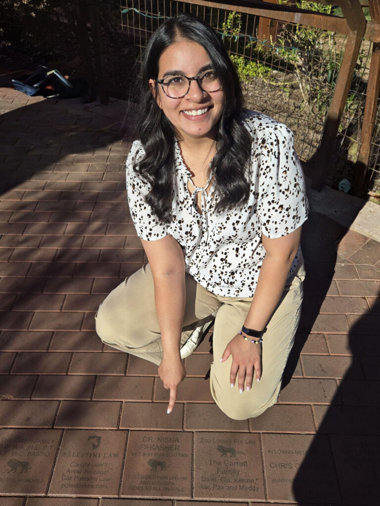 Barrow migraine patient Nisha Parasher poses for a photo with a brick at the Phoenix Zoo that her boyfriend had dedicated to her. The brick reads: "Dr. Nisha Parasher, vet and #1 Phoenix Zoo fan. Followed her dream and is now a hero to all animals."