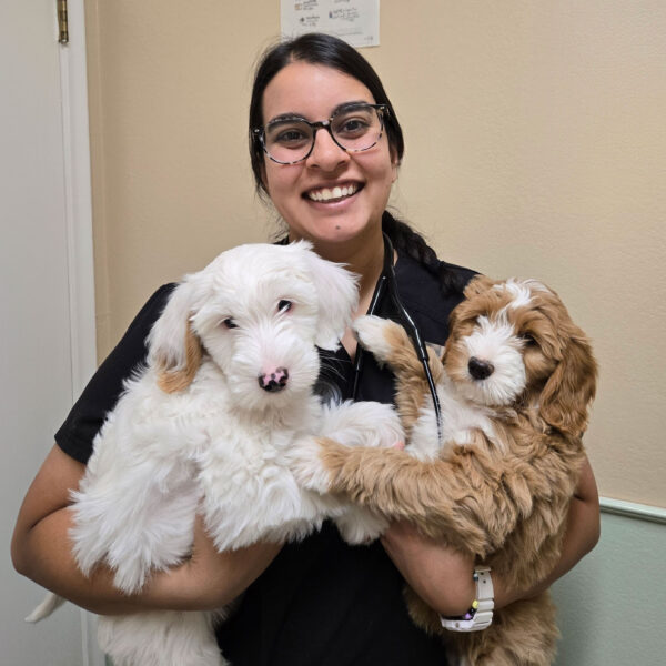 Nisha holds a dog in each arm while posing for a photo inside her veterinary clinic