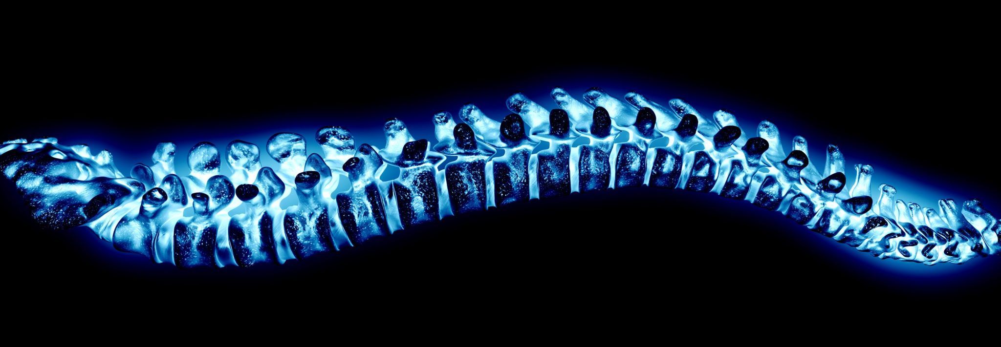Illustration showing the vertebrae of the human spine. Copyright Barrow Neurological Institute.