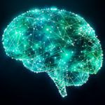 brain neuropsychology