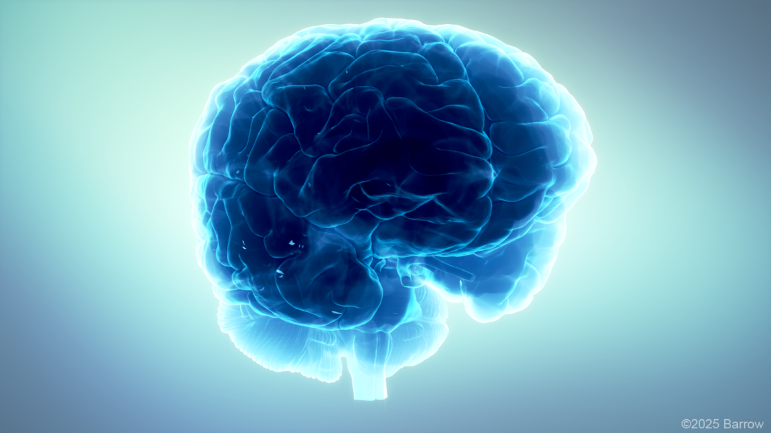 Brain illustration in blue