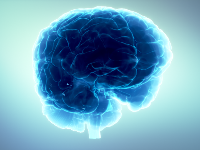 Brain illustration in blue