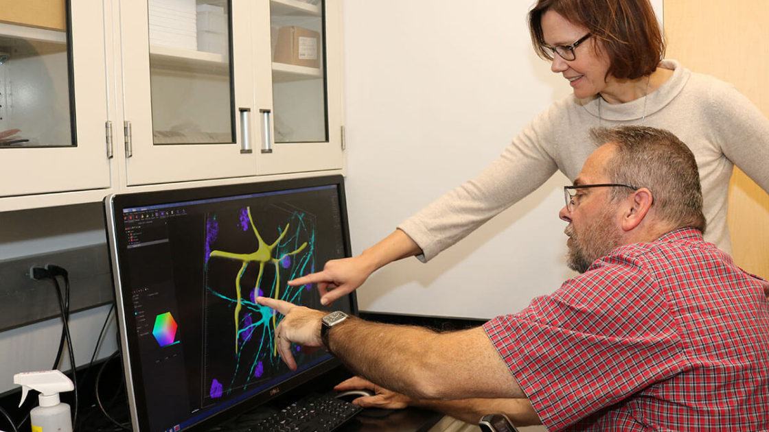 ALS patient Doug Clough uses image-analysis software to trace nerve cells in Dr. Rita Sattler's neurodegeneration laboratory.