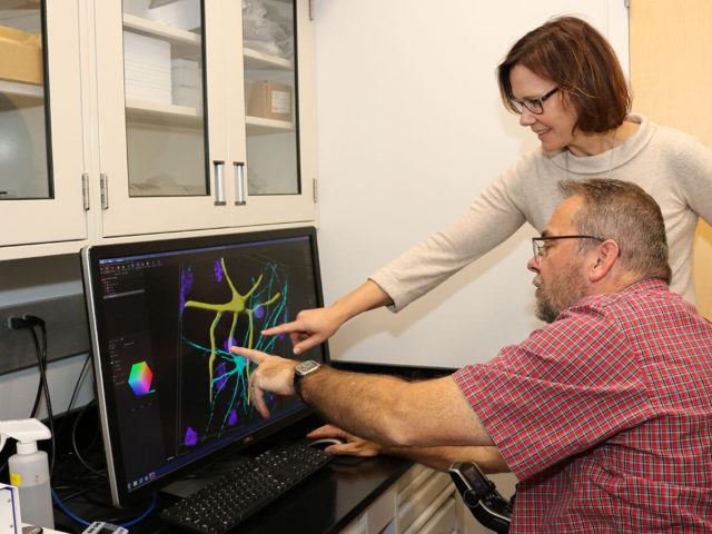 ALS patient Doug Clough uses image-analysis software to trace nerve cells in Dr. Rita Sattler's neurodegeneration laboratory.