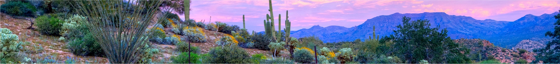 desert landscape with pink sky