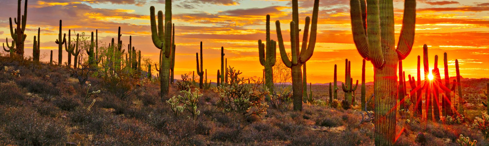 Sunset in Sonoran Desert, near Phoenix