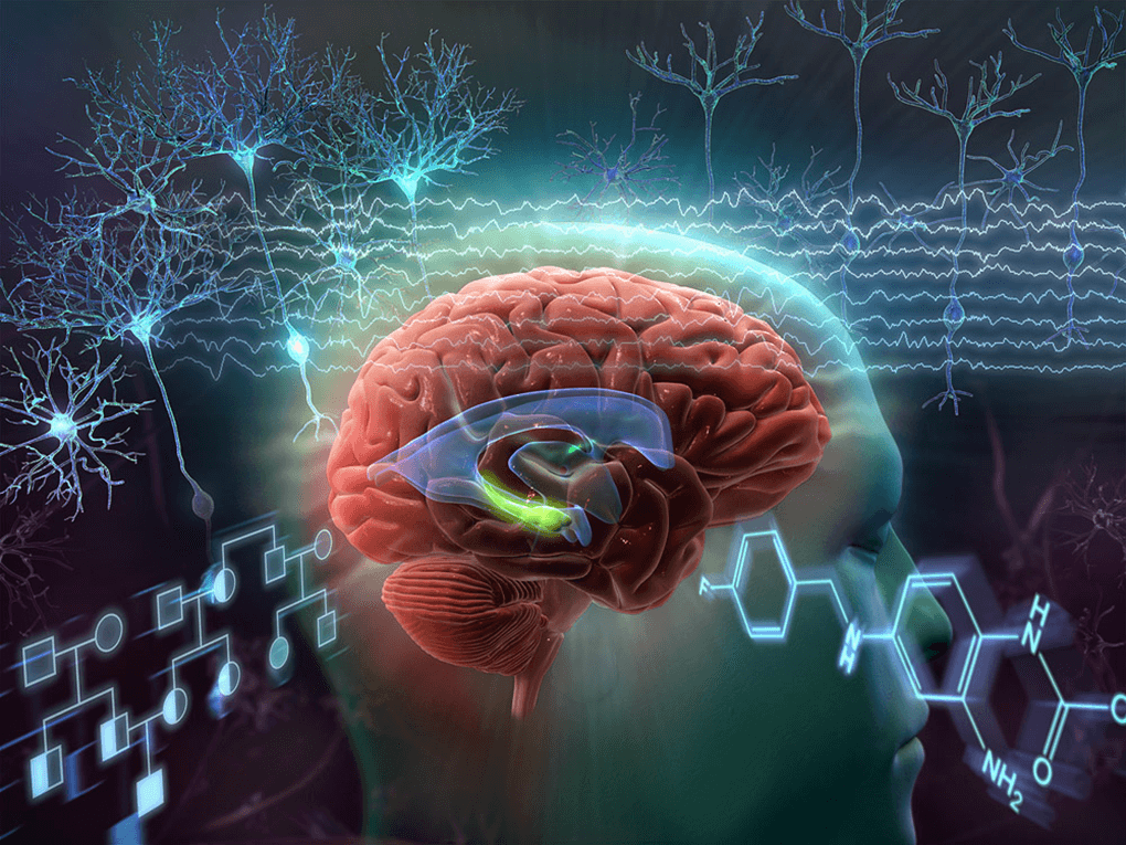 barrow neuroscience illustration