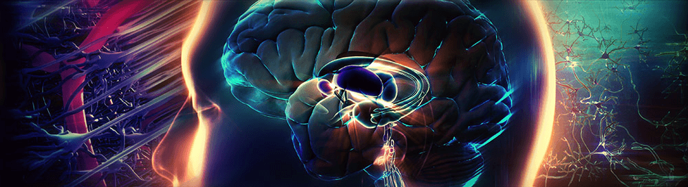 Collage of 3d renderings of a brain and neurons in the background
