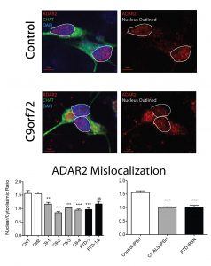 sattler-lab-hipsc-neurons