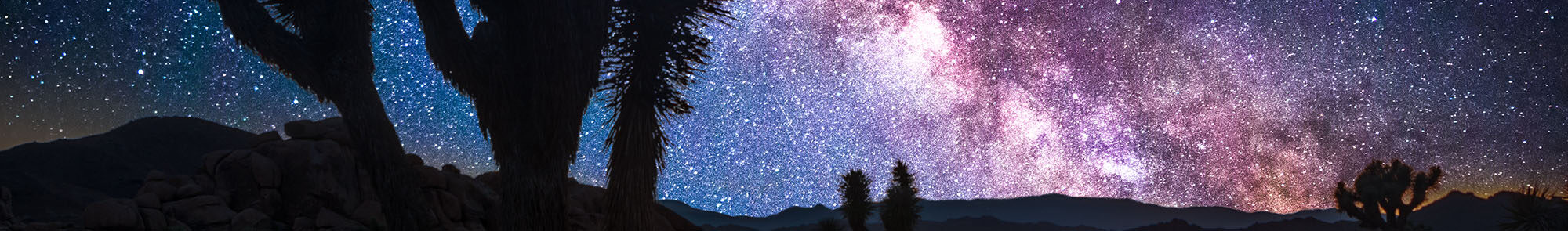 barrow sleep medicine center banner image showing the desert sky at night with the silhouettes of Joshua trees