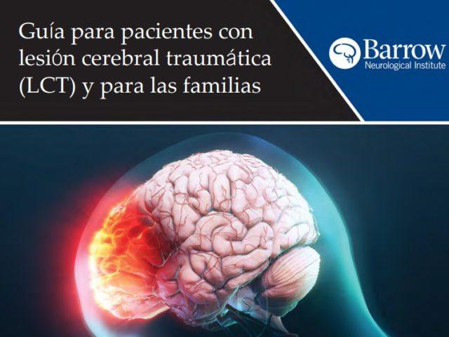 click to view spanish language tbi guidebook