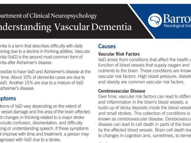 understanding vascular dementia from neuropsychological evaluation